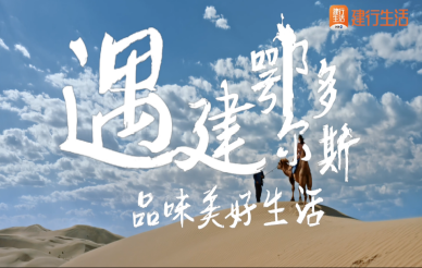 &#20048;&#40060;&#32593;&#39029;&#29256;&#30331;&#24405;&#20837;&#21475;&#45;&#20048;&#40060;&#40;&#20013;&#22269;&#41;